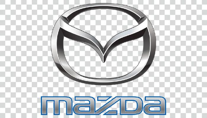 category brand
